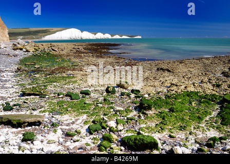 Plage de Cuckmere Haven en regardant vers les Sept Soeurs Banque D'Images