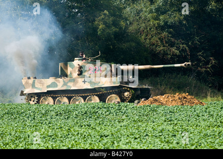 La Seconde Guerre mondiale char Tigre allemand traverse un champ de jeunes cultures dans une bataille Reconstitution faite à l'Aérodrome de Spanhoe, Northamptonshire Sept 2008 Banque D'Images