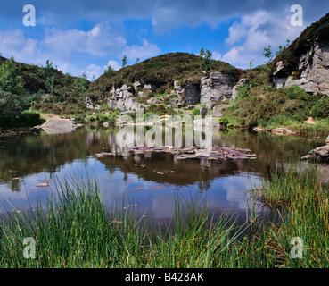 Carrière de Haytor Dartmoor National Park près de Bovey Tracey, Devon, Angleterre. Banque D'Images