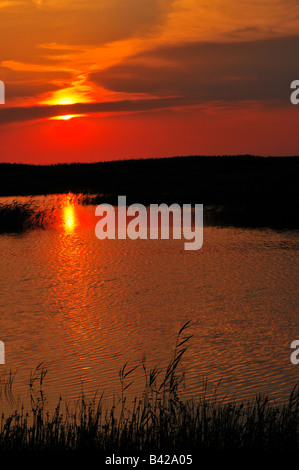 Coucher du soleil à Peshnoe les marais où la rivière Oural se jette dans la mer Caspienne, près de Almaty au Kazakhstan occidental Banque D'Images