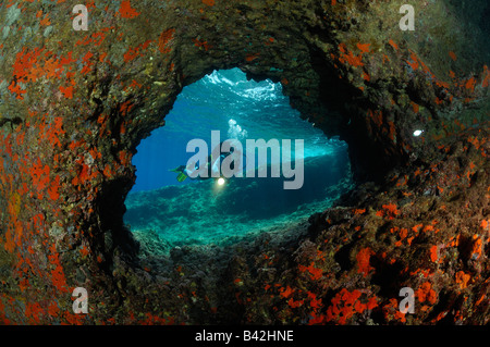 InUnderwater Bili Grotte plongeur Vis Rat Island Mer Adriatique Croatie Banque D'Images