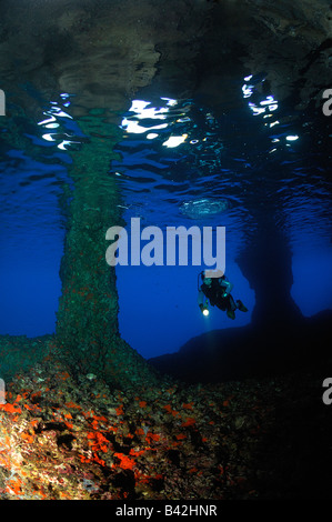 InUnderwater Bili Grotte plongeur Vis Rat Island Mer Adriatique Croatie Banque D'Images