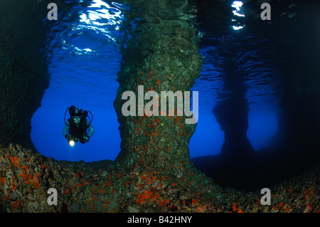 InUnderwater Bili Grotte plongeur Vis Rat Island Mer Adriatique Croatie Banque D'Images