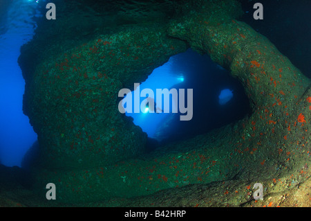 InUnderwater Bili Grotte plongeur Vis Rat Island Mer Adriatique Croatie Banque D'Images