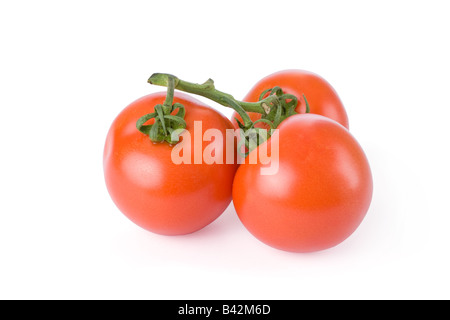 Tomates mûres isolé sur fond blanc Banque D'Images