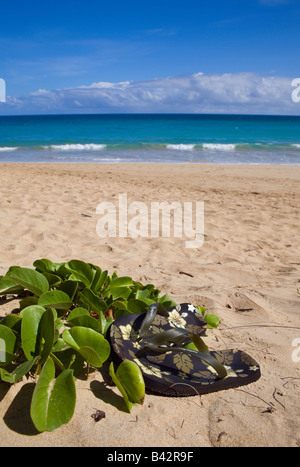 Vacances à Hawaii Maui Hawaii USA Pacific Banque D'Images