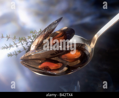 moules cuites à la vapeur Banque D'Images