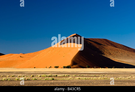 Dune de sable le Namib-Naukluft National Park, Namibie Banque D'Images