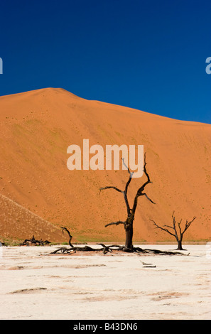 Deadvlei dans le Namib-Naukluft National Park, Namibie Banque D'Images