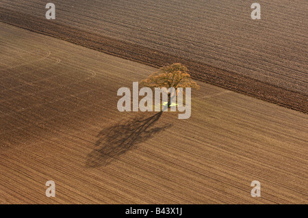 Une vue aérienne d'un arbre dans un champ labouré dans le Staffordshire en Angleterre Banque D'Images