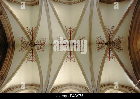 Plafond dans la cathédrale de Wells, Somerset, Angleterre Banque D'Images