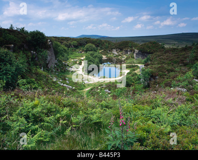 Carrière de Haytor Dartmoor National Park près de Bovey Tracey, Devon, Angleterre. Banque D'Images