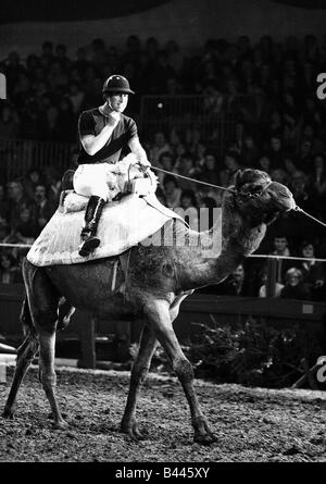 Prince de Galles à Londres Olympia camel rides en décembre 1979 Banque D'Images