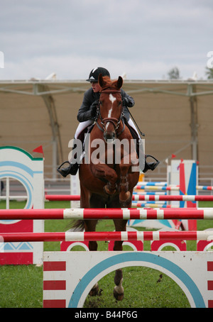 Concours hippique cavalier jumping fence Banque D'Images