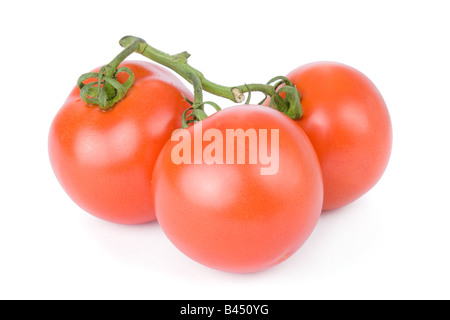 Tomates mûres isolé sur fond blanc Banque D'Images