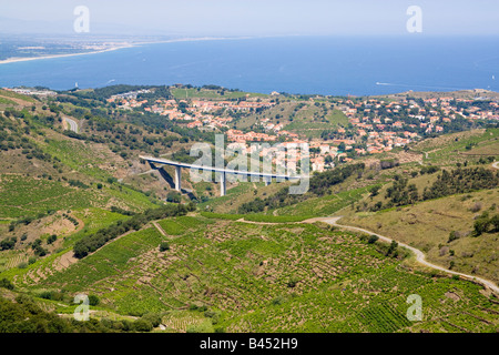 Collioure et ses vignobles dans l'arrière pays de la Côte Vermeille Méditerranée, l'origine du vin de Banyuls et Collioure Banque D'Images