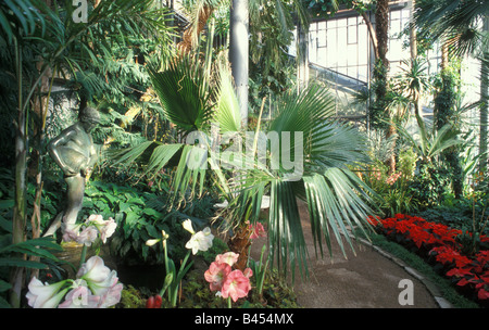 Jardin botanique de Karlsruhe Baden Württemberg Allemagne forêt noire Banque D'Images