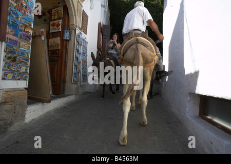 Âne de Lindos Banque D'Images