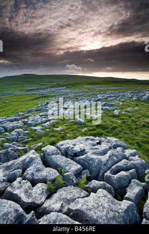 Pavages calcaires, Yorkshire Dales Banque D'Images