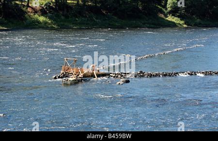 Une anguille weir sur la rivière Delaware entre New York une anguille homme travaille sur le barrage au milieu de la rivière. Banque D'Images