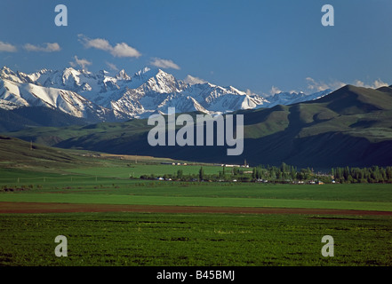 Communauté des Etats Indépendants, CEI, Kirghizstan, près du lac Issyk Kul, montagnes Tien Shan Banque D'Images