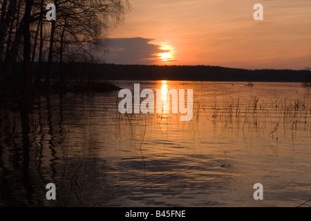 Grand lac avec des îles et reed le beau coucher du soleil de printemps, la Carélie, Russie Banque D'Images
