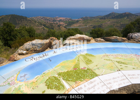 Une carte peinte à une table d'orientation fournit des informations sur les vignobles dans l'arrière pays de la Côte Vermeille / Sud de France Banque D'Images