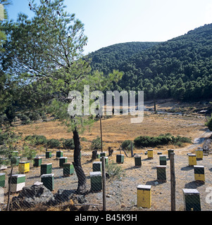 Ruches Alonisos Îles Grecques Hellas Banque D'Images