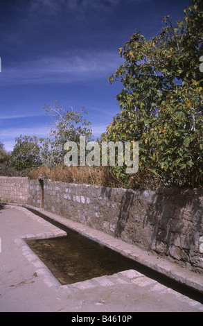 Canal d'irrigation dans la rue et figuiers dans le village de Toconao, près de San Pedro de Atacama, Chili Banque D'Images