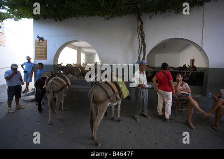 Gare d'ânesse Lindos Banque D'Images