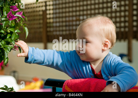 Un garçon de dix mois, tendant la main pour toucher les feuilles d'une plante. Banque D'Images