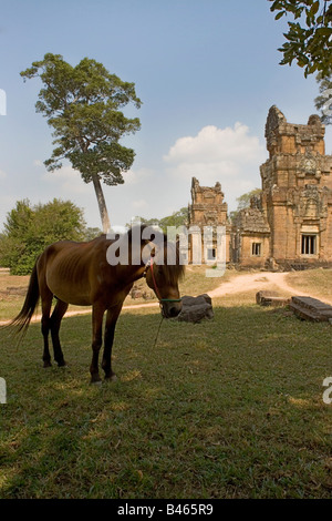 Cambodge, Angkor, Siem Reap, Prasat Suor Prat, Temple et l' Banque D'Images