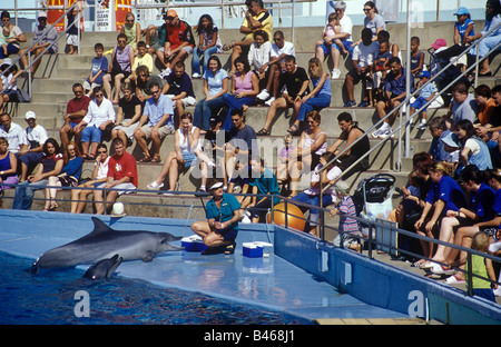 Spectacle de Dauphins à oceangraphic centre, Seaworld à Port Elizabeth, Afrique du Sud. Banque D'Images