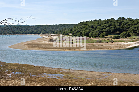 Lagune d'eau saumâtre Lagoa de Albufeira au Portugal Banque D'Images