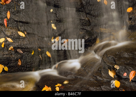 Close-up of Juney Whank Falls, Great Smokey Mountains National Park, North Carolina, USA Banque D'Images