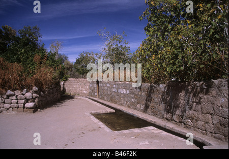 Canal d'irrigation dans la rue et figuiers dans le village de Toconao, près de San Pedro de Atacama, Chili Banque D'Images