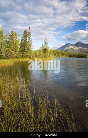 Le lac Rabbitkettle, Réserve de parc national Nahanni, Territoires du Nord-Ouest, Canada Banque D'Images