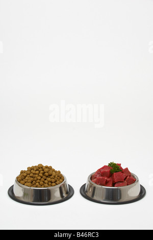 Boeuf haché et d'aliments pour chiens dans des bols de chien Banque D'Images