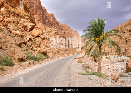 Tempête de vent et venant de la vallée de todra désert maroc Banque D'Images