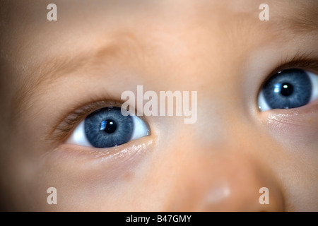 Close up portrait of a Blue Eyed baby boy Banque D'Images