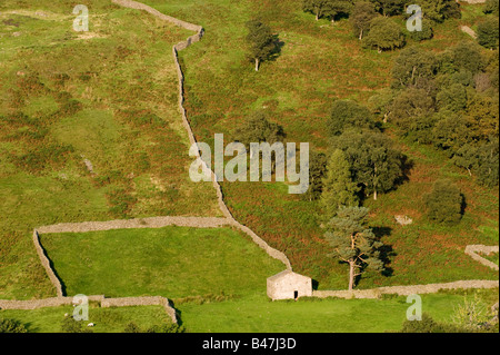 Les étables et les murs en pierre sèche autour de Woodland à Swaledale près de Mickfield Yorkshire Dales National Park Banque D'Images