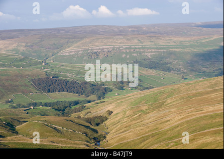 Les étables et les murs en pierre sèche dans la région de Swaledale près de Mickfield Yorkshire Dales National Park Banque D'Images