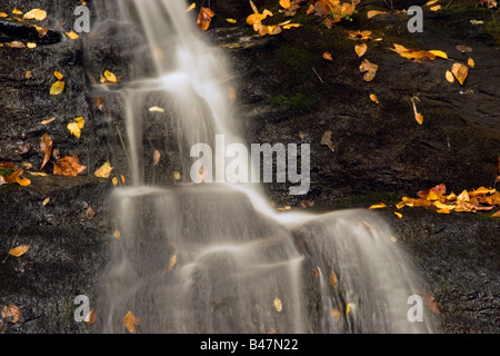 Close-up of Juney Whank Falls, Great Smokey Mountains National Park, North Carolina, USA Banque D'Images