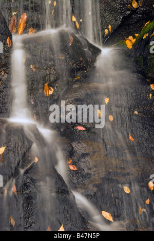 Close-up of Juney Whank Falls, Great Smokey Mountains National Park, North Carolina, USA Banque D'Images