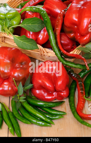 Sélection de produits biologiques fraîchement cueillies et le piment doux dans le panier rustique table de cuisine pays UK Banque D'Images