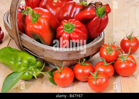 Accueil fraîchement cueillis poivrons tomates biologiques cultivés dans le panier rustique table de cuisine pays UK Banque D'Images