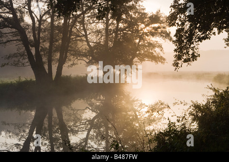 La navigation de la rivière Wey à Pyrford, Surrey, Royaume-Uni. Misty dawn d'automne. Banque D'Images