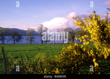 Début de soirée sur le Loch Ness, le célèbre Loch situé sur le Great Glen Défaut Banque D'Images