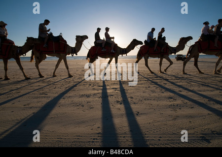 Camel trains transportant des touristes sur Cable Beach Broome Australie Occidentale Banque D'Images