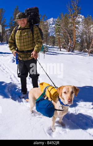 Backpacker et le chien dans la vallée des lacs peu après une tempête au début John Muir Wilderness Sierra Nevada en Californie Banque D'Images